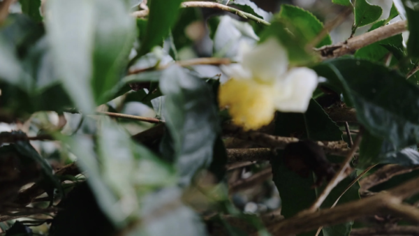 サンプルタイトル３